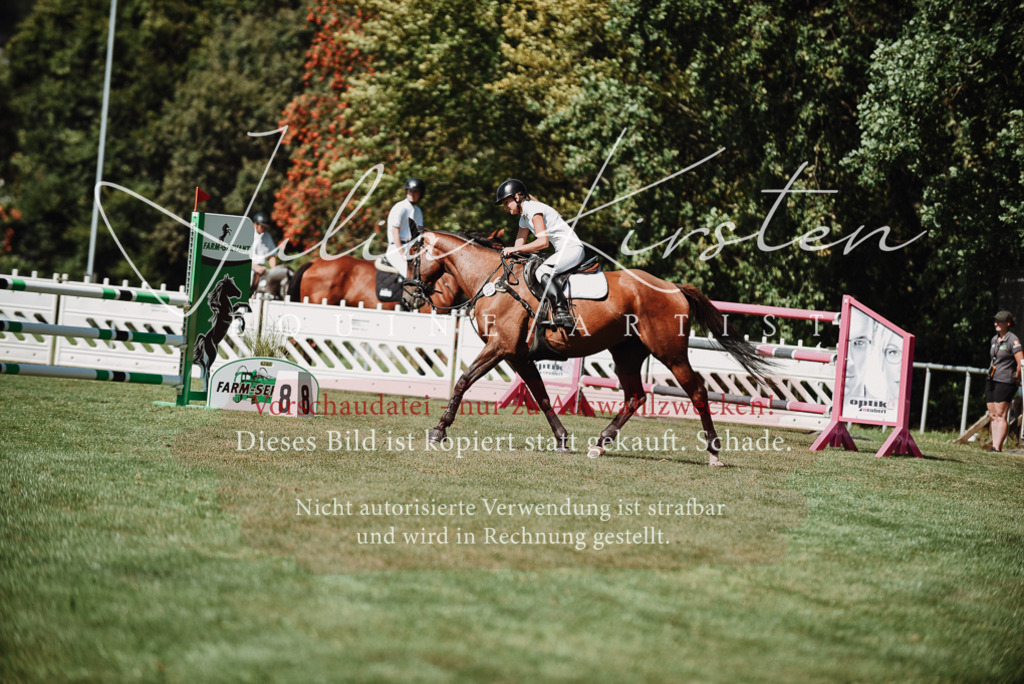 DSC_3124 | Pferde- und Turnierfotografie in Westsachsen. Pferdeportraits, Auftragszeichnungen und intuitive Kunst.