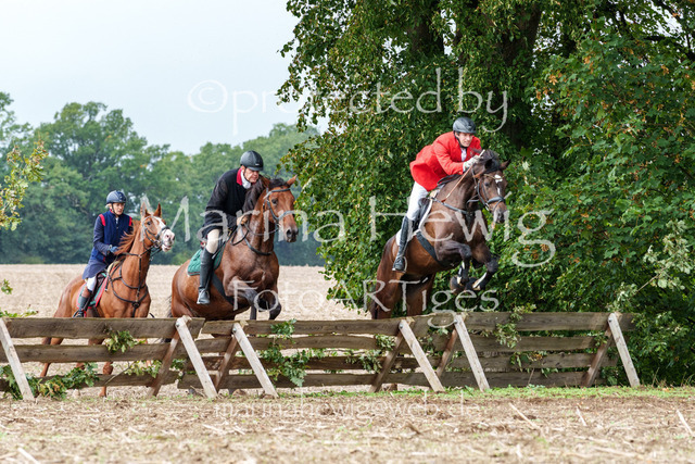 Jagd Perdoel 26 Sony-03297_MarinaHewig | Fotografie, FotoArt, PferdesportArt, Pferdesportfotografie, Landschaftsfotografie, Reisefotografie, Reise, Pferde - Realisiert mit Pictrs.com