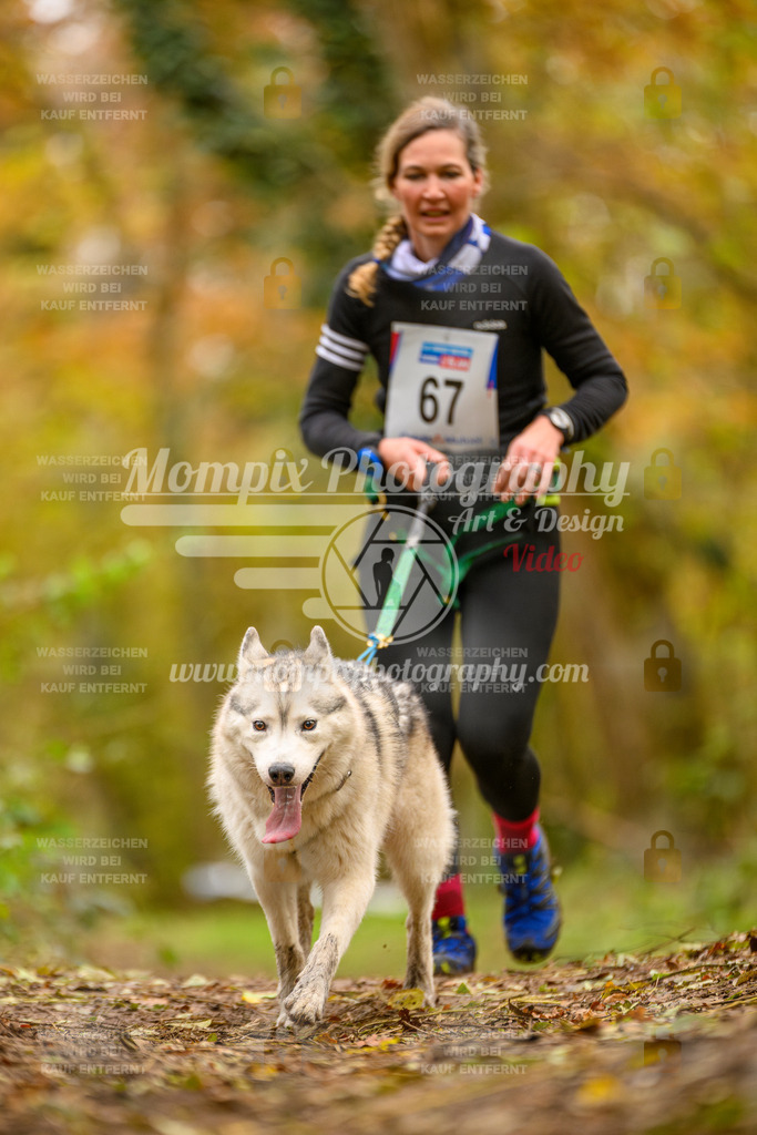MompixPhotography_Bischwiller24_SA_Canicross-113 | PayLife