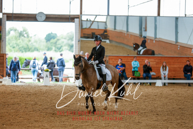 _62_6286 | Turniersportfotografie; Pferdefotografie; Dressurfotografie