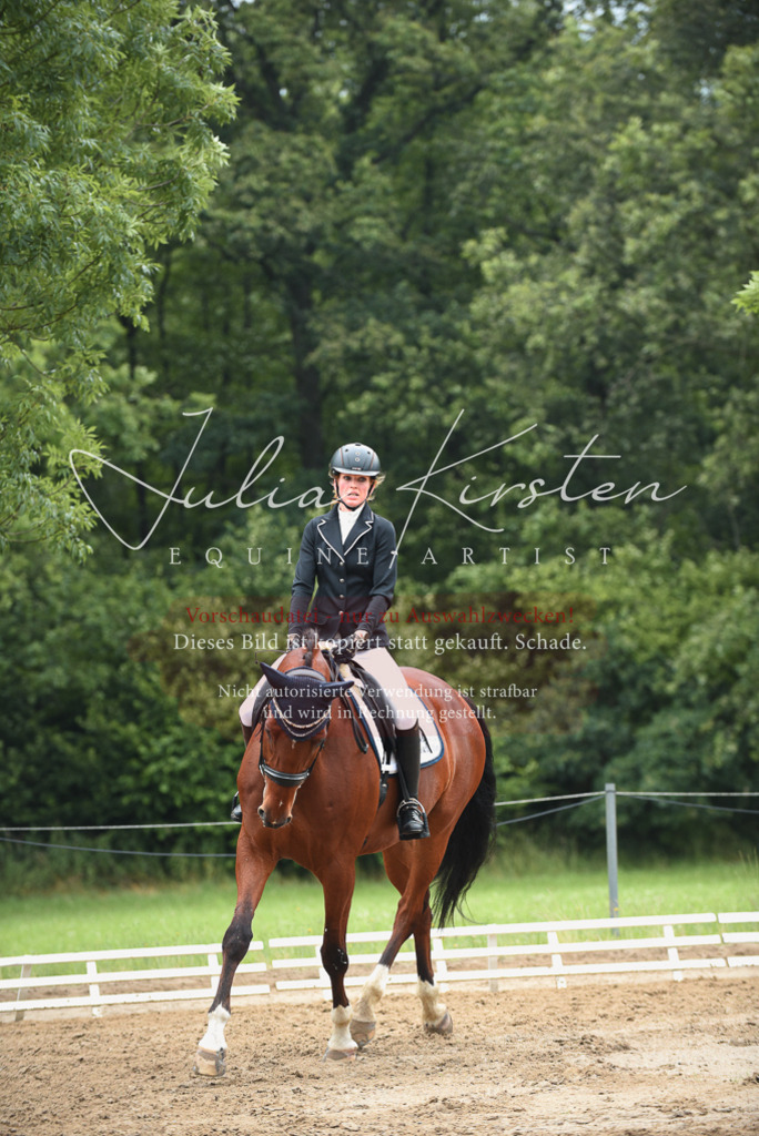 DSC_0230 | Pferde- und Turnierfotografie in Westsachsen. Pferdeportraits, Auftragszeichnungen und intuitive Kunst.