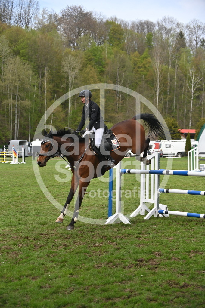 DSC_3746 | sattelsport - Realisiert mit Pictrs.com