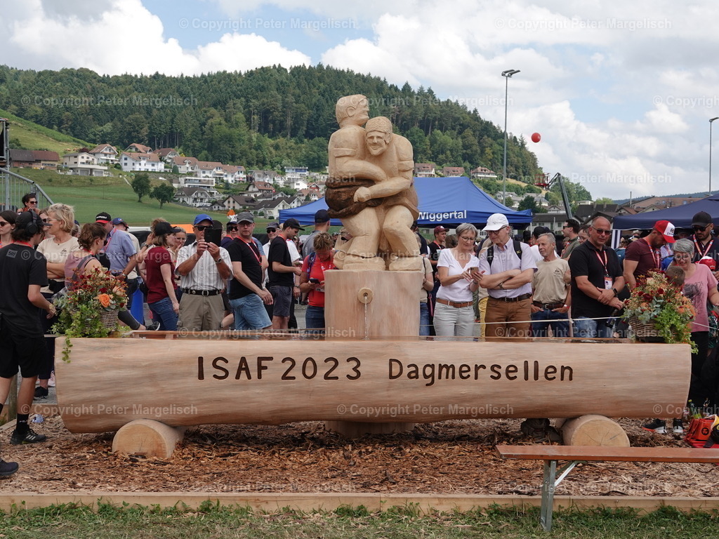 DSC05033 | Schwingen - Realisiert mit Pictrs.com