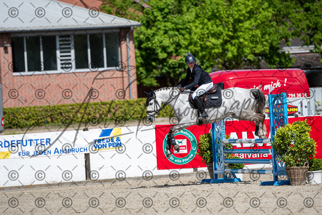 KPT_5118 | andre_photographic