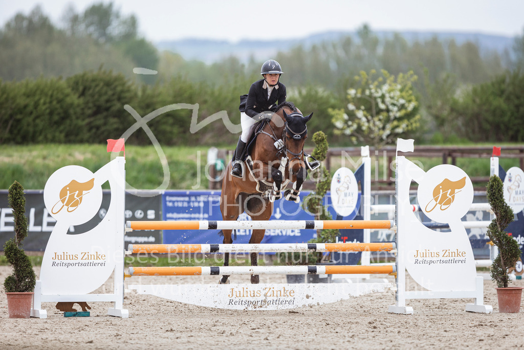 250417_Springpferde-L1-299 | Deine schönsten Turniermomente als professionelle Fotos! Entdecke hochwertige Pferdesport-Fotografie im Online-Shop. Jetzt Fotos finden & bestellen!