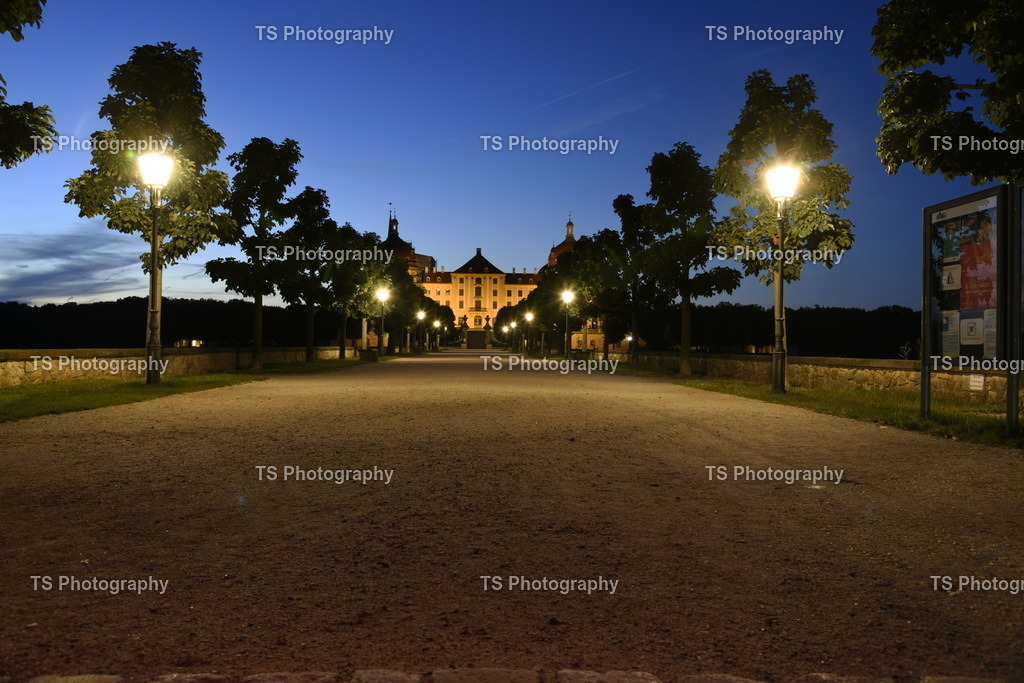 IMG_8511 | TS Photography - Realisiert mit Pictrs.com