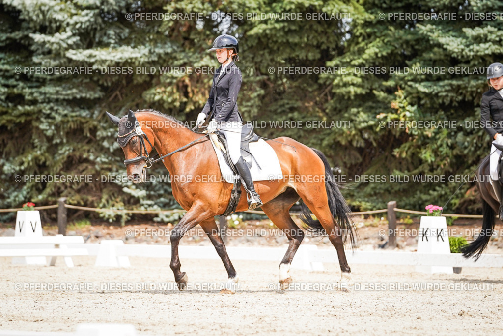 DSC03466 | Pferdegrafie