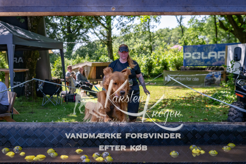 1318_ZZ90979 | kk-dogfotos