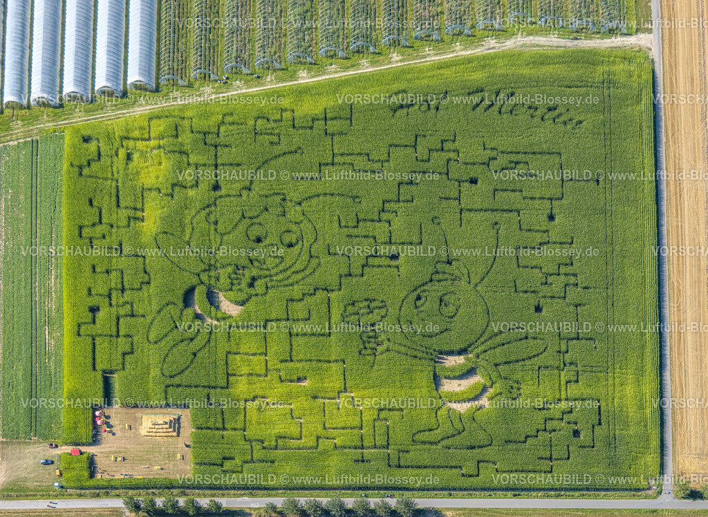 Dortmund240804572 | Luftbild, Wiese und Feld mit Muster und Kunstwerk Biene Maja und Willi Figuren, Hof Mertin Bönninghauser Straße, Formen und Farben, Hostedde, Dortmund, Ruhrgebiet, Nordrhein-Westfalen, Deutschland