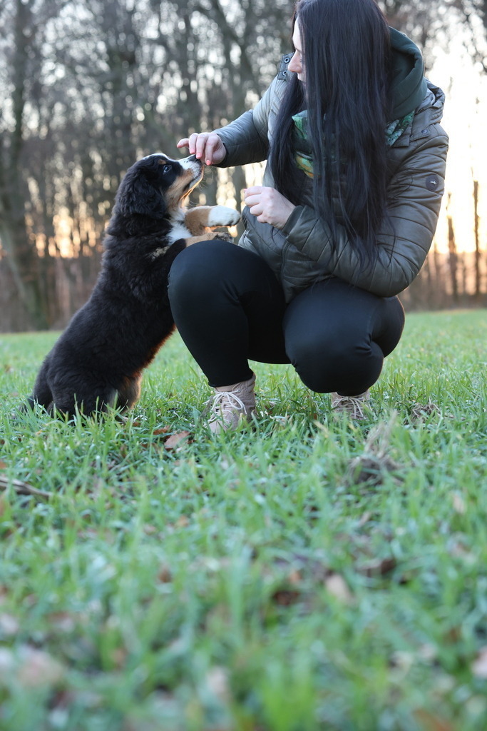 714A9008 | KS Studio Video- & Fotografie - Realisiert mit Pictrs.com