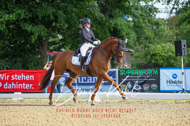DKP41586 | Turnierfotos kaufen im Webshop von Daniel Kuhl Photography – entdecke professionelle Reitsportfotos aus Turnieren & Events. Hochwertige Turnierbilder online bestellen & sichern. Jetzt Fotos von Reitsportturnieren kaufen!