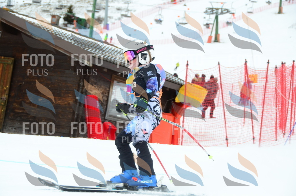 DSC_0671 | holidayphoto