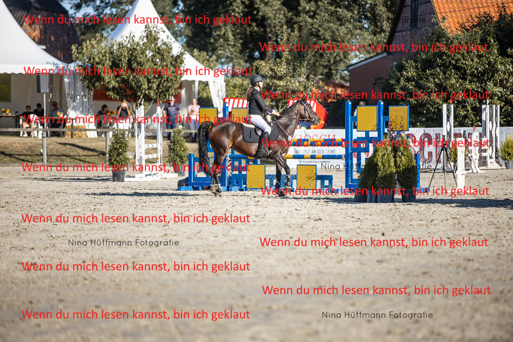 BK1A7842 | Turnierbilder Turnierfotos Nina Hüffmann Turnierfotografie Pferdefotografie Tierzeichnung Haustierzeichnung Pferdezeichnung Hundezeichnung Videograf  - Realisiert mit Pictrs.com