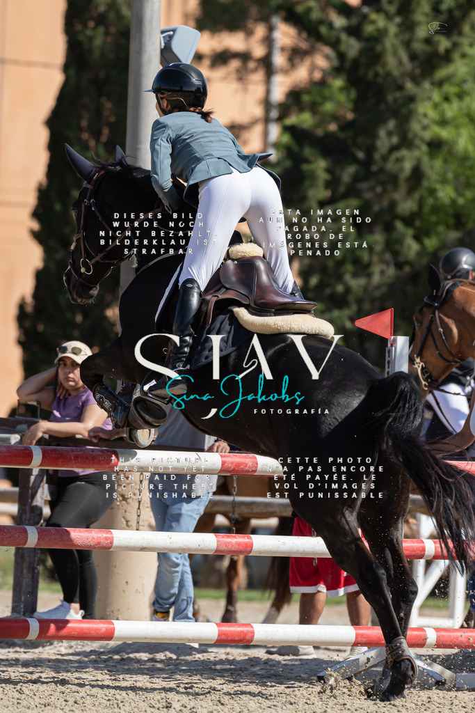 IMG_0819 | s-jay-photography - Realisiert mit Pictrs.com