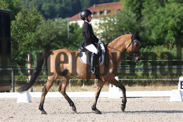 Bad Boll_2023_Prfg.Nr.04_Pony-Dressur_Kl.A_Darielle Schlindwein_Der kleine Hobbit 4 (13) | Alle Fotos der Reiterjournal Fotografin Doris Matthaes im Reiterjournal Online-Fotoshop. - Realisiert mit Pictrs.com