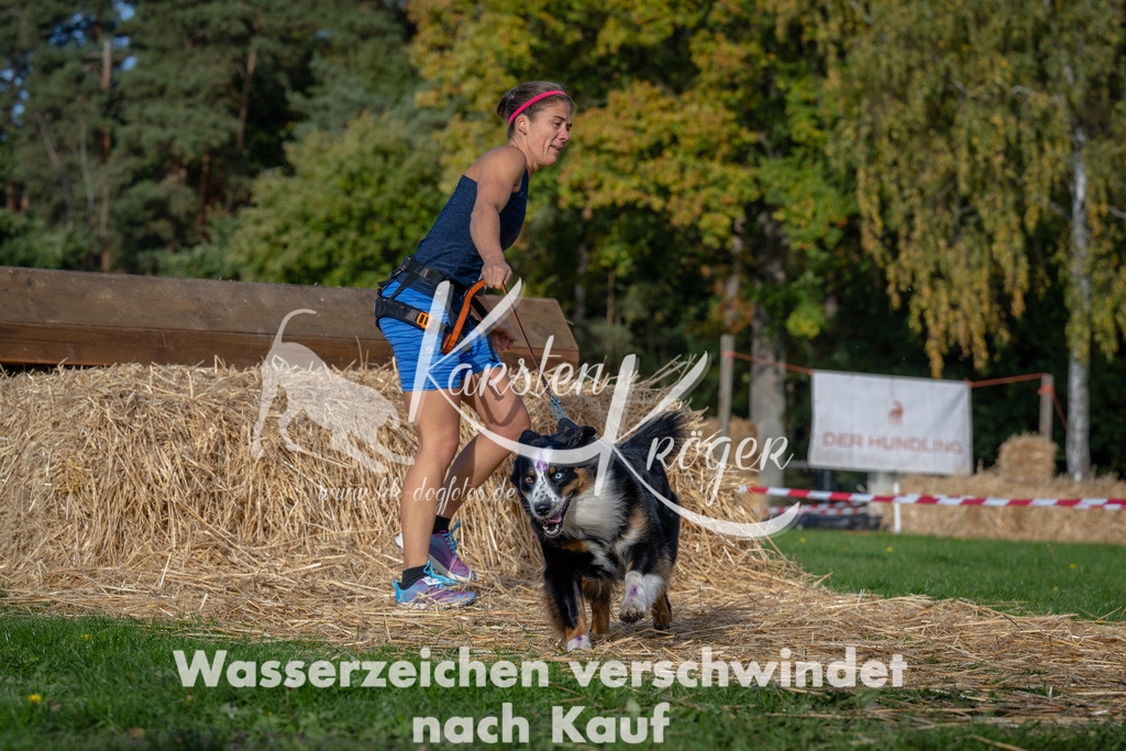 1017_ZZ92977 | kk-dogfotos