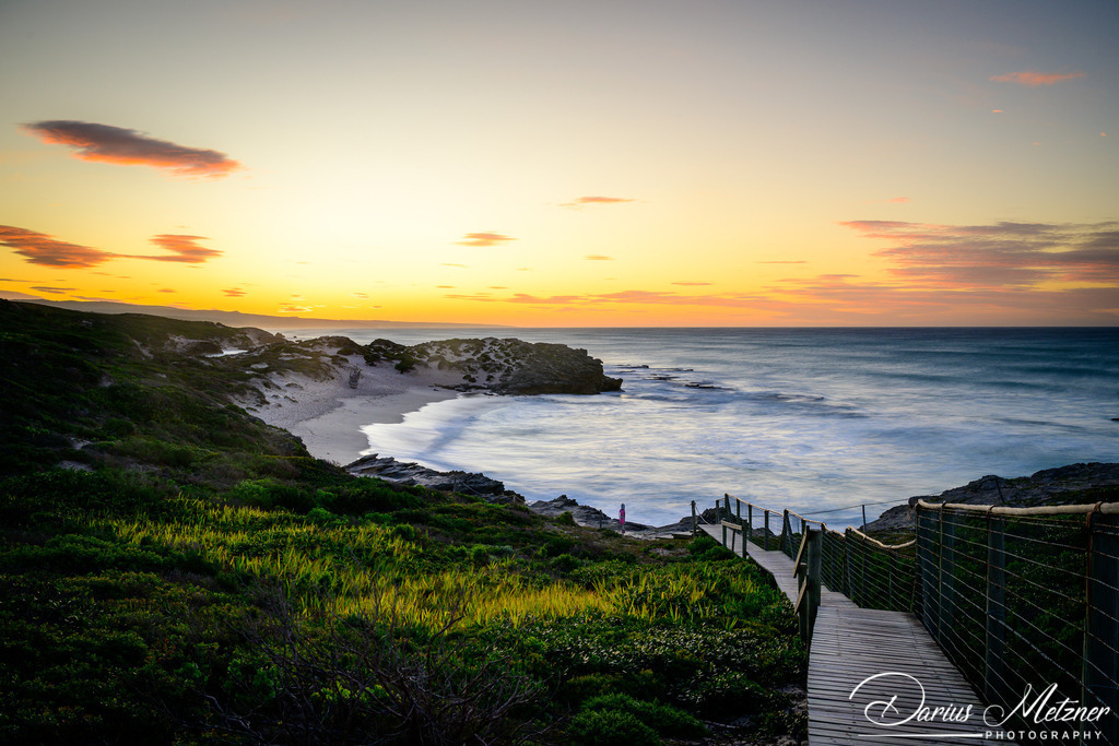 _DSC2381 | Fotografien, Fotos und Bilder aus Mainz, Frankfurt, Wiesbaden und anderen Orten auf der Welt - Fotografiert von Darius Metzner