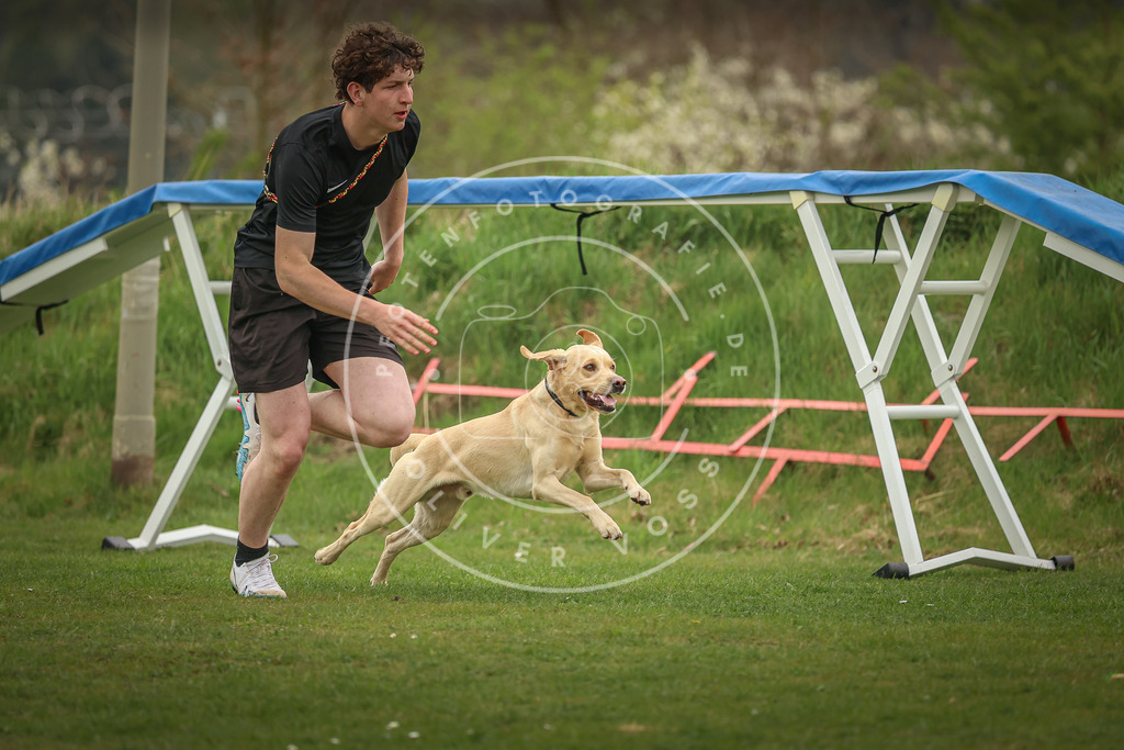 Pfotenfotografie_0L8A0392 | Hundefotografie, Tierfotograf, Pfotenfotografie, Fotoshooting Hund, Hunde Portrait, Hundesport, Hundeportraits, Heideshooting, Hunde, Sportfotograf, Hundefotograf, Turnierhundsport, THS,  - Realisiert mit Pictrs.com