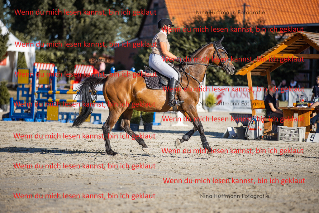 BK1A7780 | Turnierbilder Turnierfotos Nina Hüffmann Turnierfotografie Pferdefotografie Tierzeichnung Haustierzeichnung Pferdezeichnung Hundezeichnung Videograf  - Realisiert mit Pictrs.com