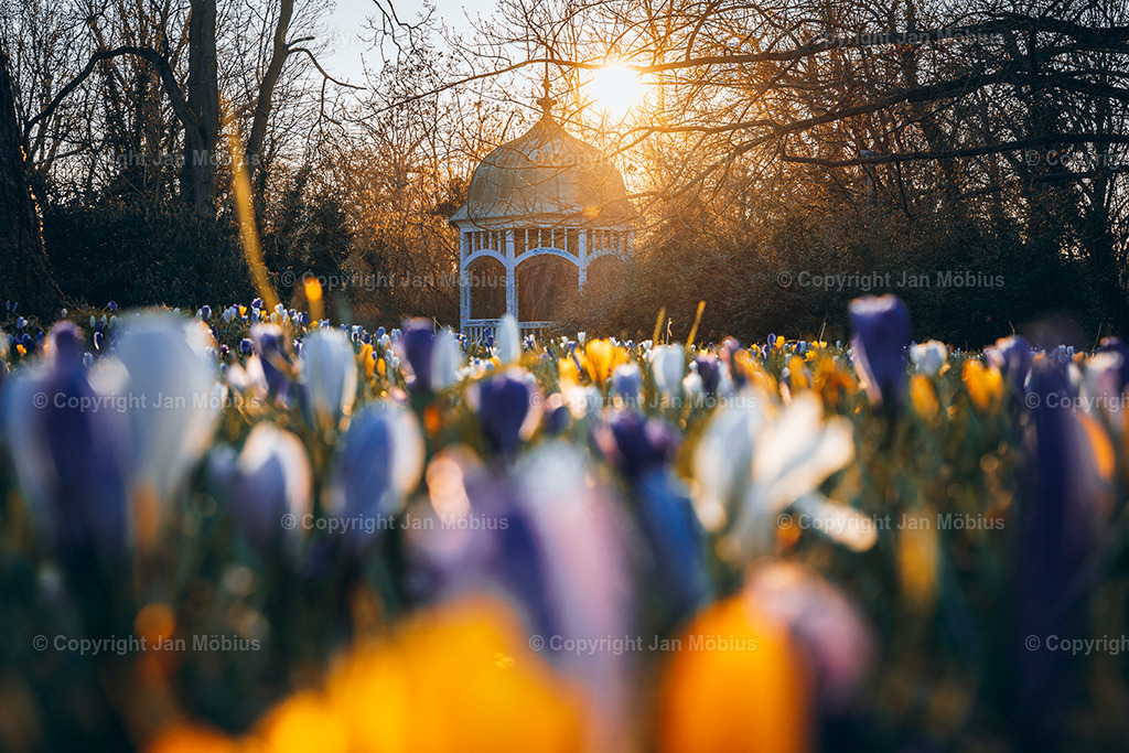 _DSC0439 | Leipzig Wandbilder Drucke Prints Leinwand Stadtmotive Leipzig Fotosdruck Kunstdrucke Bilder Leipzig Stadtansichten Acrylglasbilder Leipzig Wanddeko Fine Art Prints Wandbilder Büro Leipzig Bilder Praxis Zuhause Bilderdruck Poster Posterlounge Kunstdrucke - Realisiert mit Pictrs.com