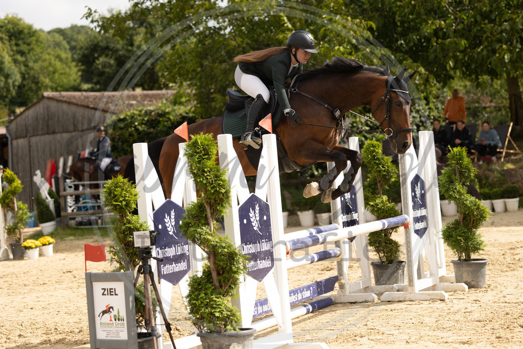 994A7835 | sabrinanicolaifotografie - Realisiert mit Pictrs.com