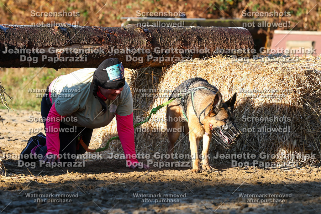 Dog Paparazzi - Strongdog 10-25-899 | Dog Paparazzi Jeanette Grottendiek Fotografie & Videografie - Realisiert mit Pictrs.com