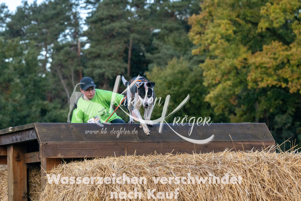 0825_ZZ90556 | kk-dogfotos