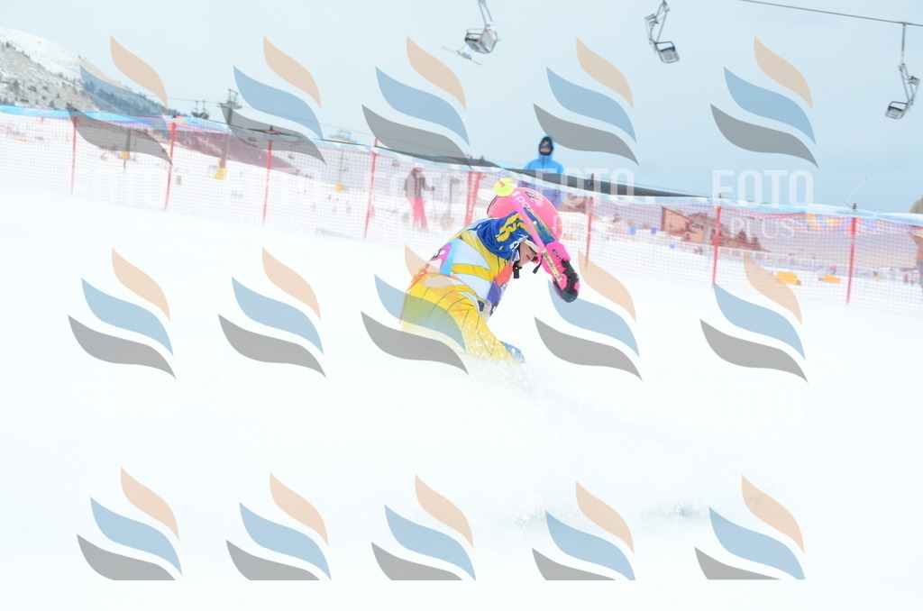 DSC_1028 | holidayphoto