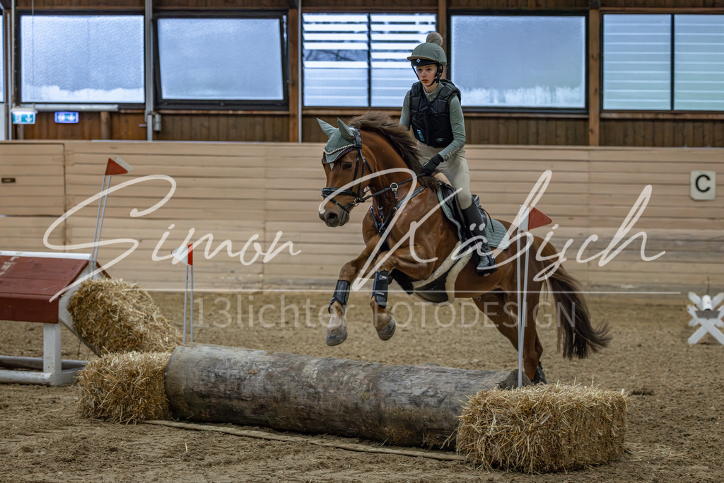 20260222-_3LI0802 | Tierfotografie Pferde, Hunde, Katzen, Haustiere.
Turnierfotografie Reitturniere, Reiten, Springreiten, Dressur in Hanau, dem Main-Kinzig-Kreis und dem Rhein-Main- Gebiet um Frankfurt