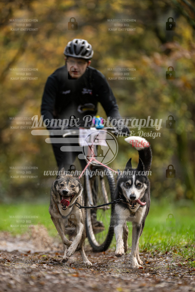 MompixPhotography_Bischwiller23_DS2-15 | mompixphotography