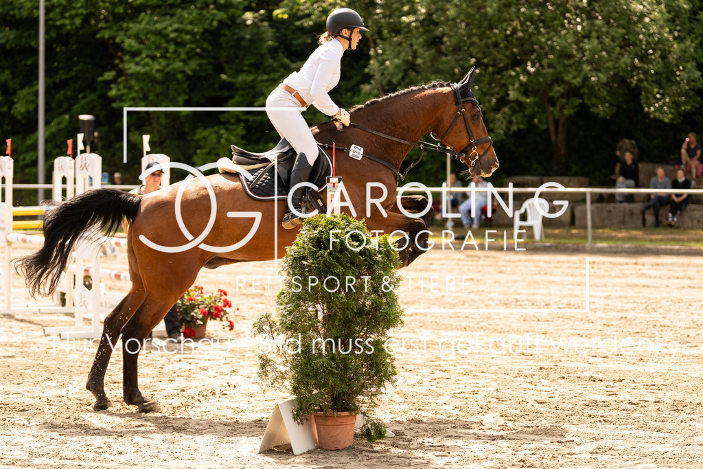 DSC02337 | Carolin Gieschke