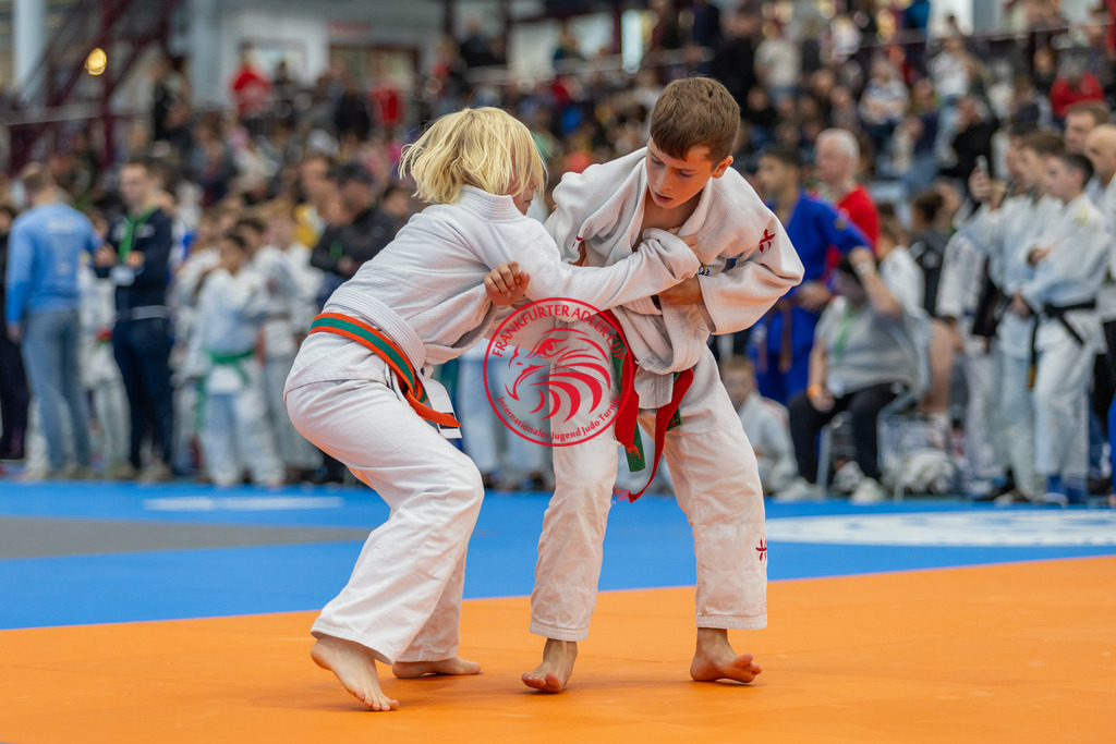 Internationaler Adler Cup 2024 | Foto vom Internationalen Adler Cup Judo Turnier im Sport- und Freizeitzentrum Kalbach im Oktober 2024 - Realisiert mit Pictrs.com