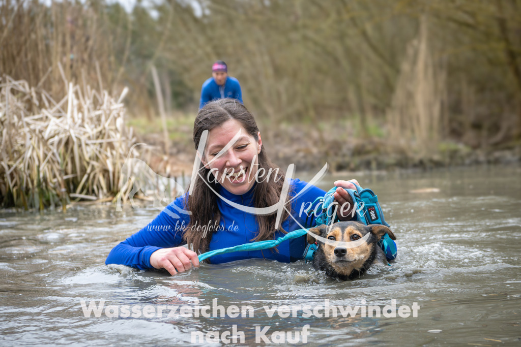 1013_ZZ97267 | kk-dogfotos