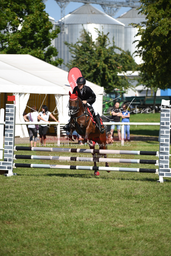 DSC_9268 | Pferde- und Turnierfotografie in Westsachsen. Pferdeportraits, Auftragszeichnungen und intuitive Kunst.