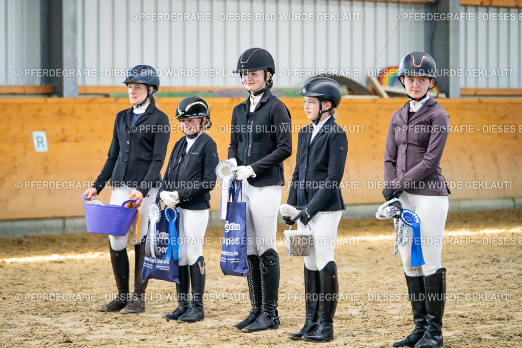 DSC01379 | Pferdegrafie