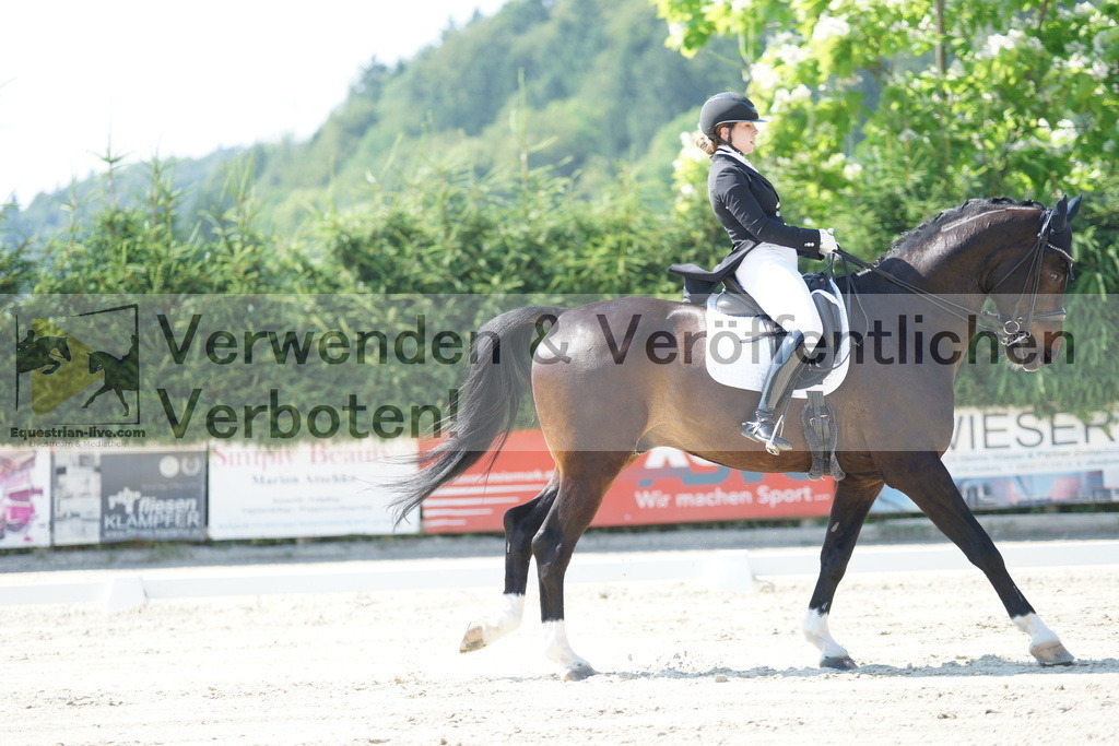 DSC02380 | equestrian-live-com