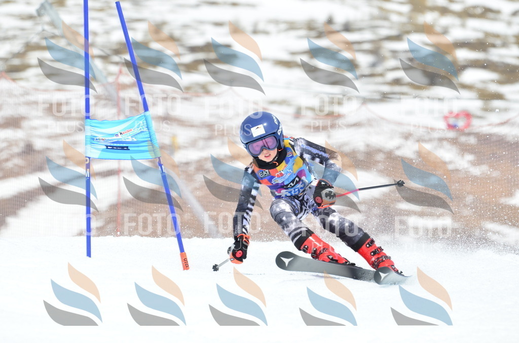 _ELE2706 | holidayphoto