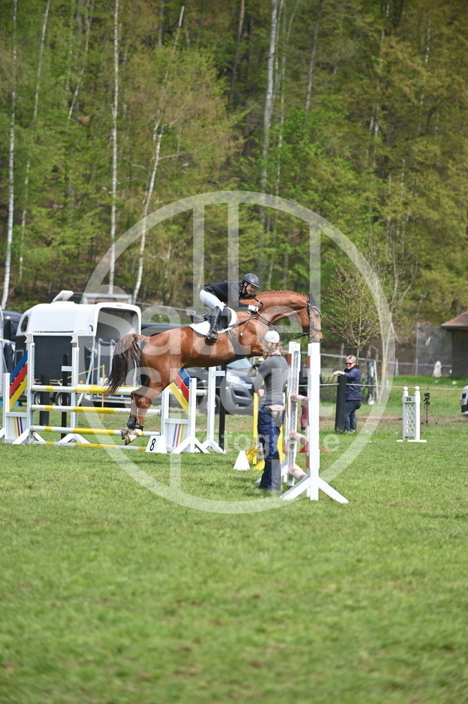 DSC_1816 | sattelsport - Realisiert mit Pictrs.com