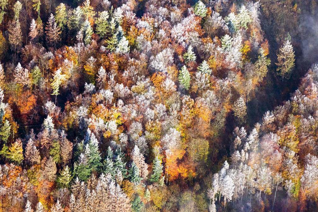 Wetterlage mit schichtartiger Nebel- Bedeckung über einem Waldgebiet | BAD WILDUNGEN 31.10.2019 Wetterlage mit schichtartiger Nebel- Bedeckung über einem Waldgebiet an einem Herbstmorgen mit Raureif bedeckten Baumspitzen in Bad Wildungen im Bundesland Hessen, Deutschland. // Weather with layered fog cover ueber einem Waldgebiet on einem Herbstmorgen with Raureif bedeckten Baumspitzen in Bad Wildungen in the state Hesse, Germany
