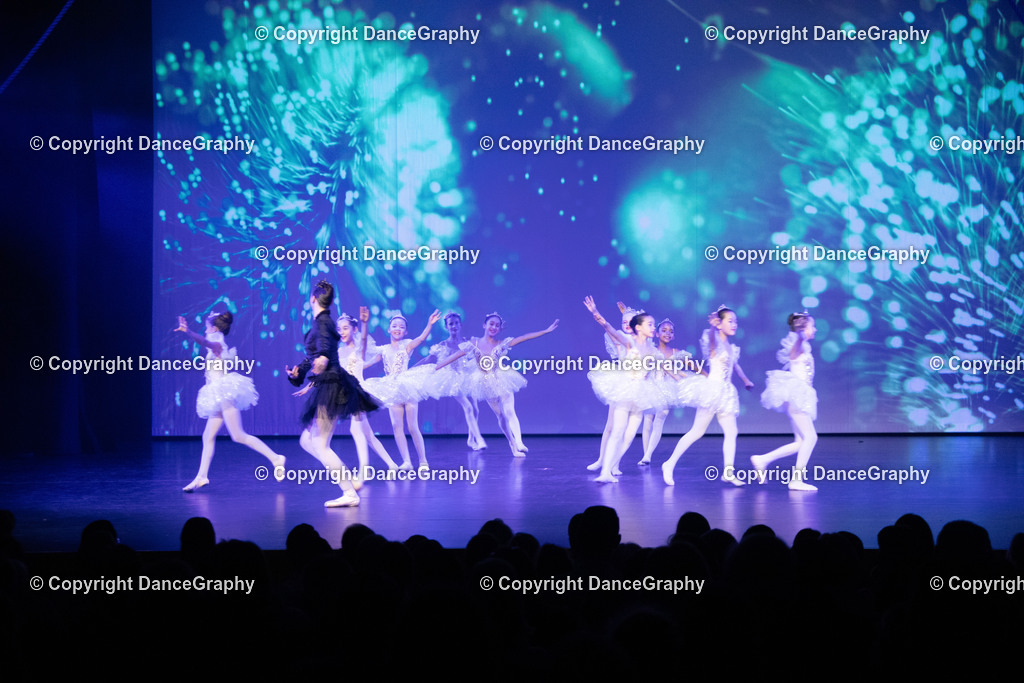 GPHY2432 | DanceGraphy - Realisiert mit Pictrs.com