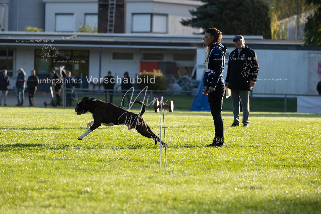 _16A6093 | Einzigartige Fotos von Hunden & Menschen –Actionfotos, Portraits, Vereinsaufnahmen & Paarshootings – authentisch, lebendig & mit Herz.