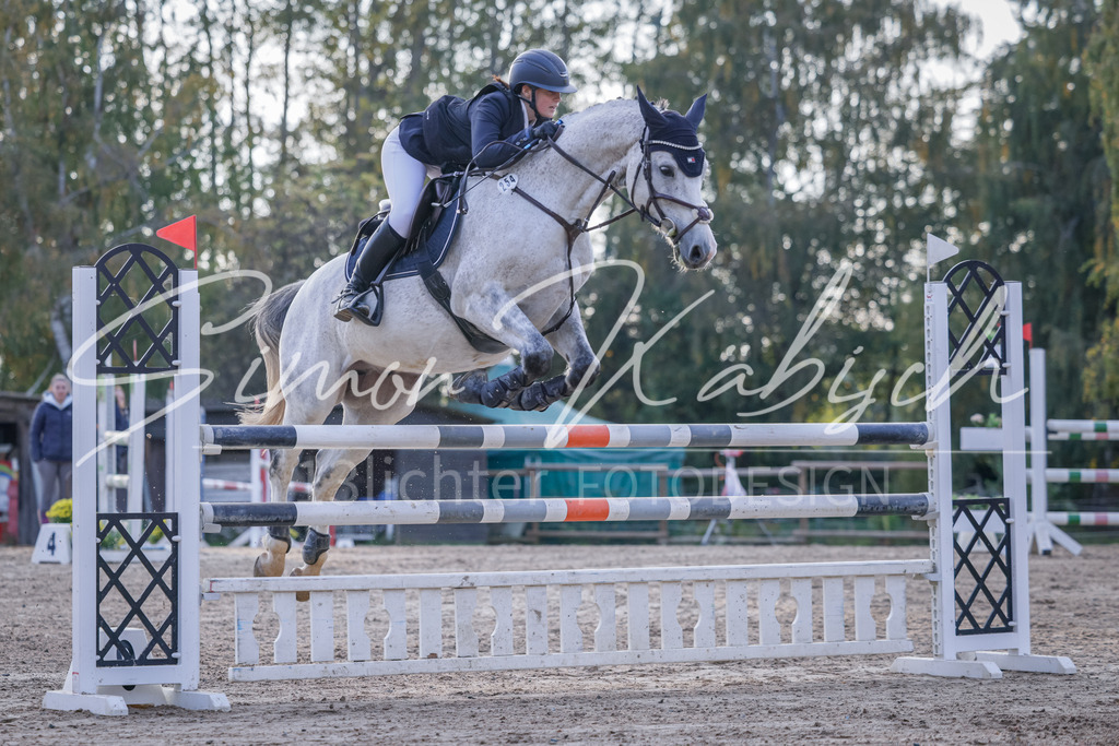 20251012-_3LI5732 | Tierfotografie Pferde, Hunde, Katzen, Haustiere.
Turnierfotografie Reitturniere, Reiten, Springreiten, Dressur in Hanau, dem Main-Kinzig-Kreis und dem Rhein-Main- Gebiet um Frankfurt