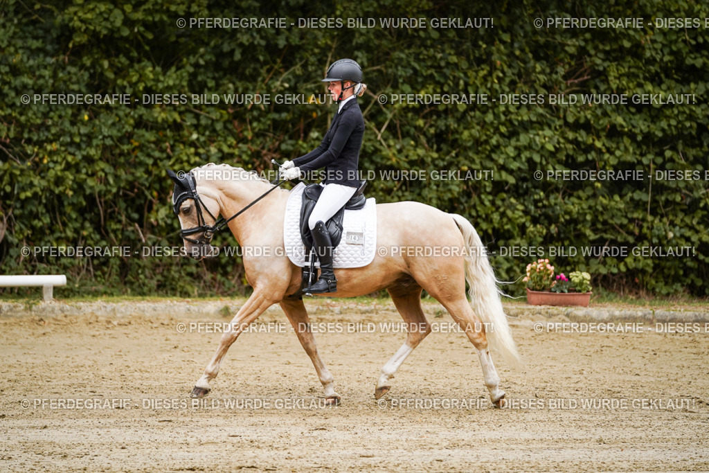 DSC08718 | Pferdegrafie