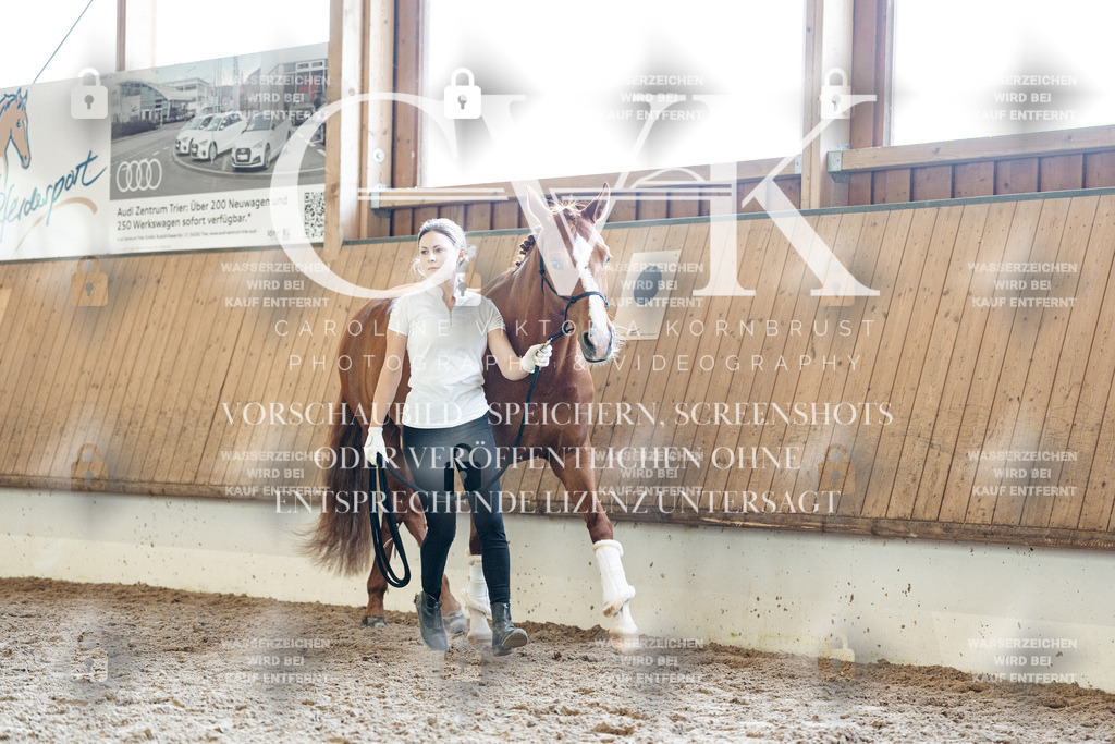 CK907661 | Turnierfotografie Pferdefotografie Trier Rheinland-Pfalz Pferdesport Reitsport Tierfotografie Sportfotografie Pferdevideo Pferdevideografie Equestrianvideography equestrianphotography  - Realisiert mit Pictrs.com