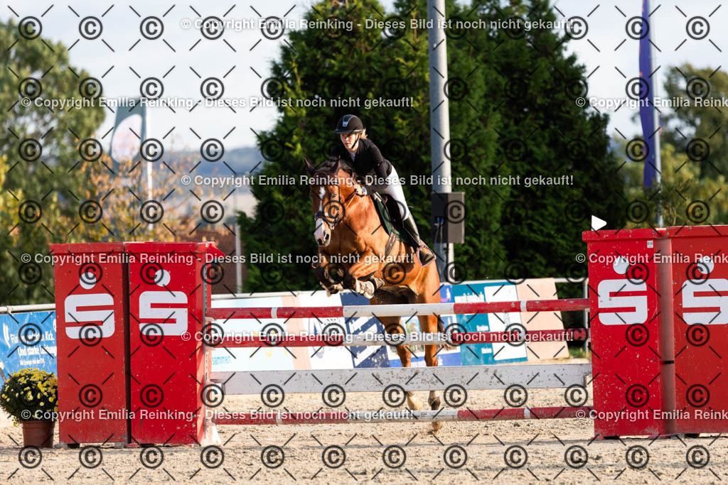 CL5A2637 | Emilia Reinking Fotografie - Realisiert mit Pictrs.com