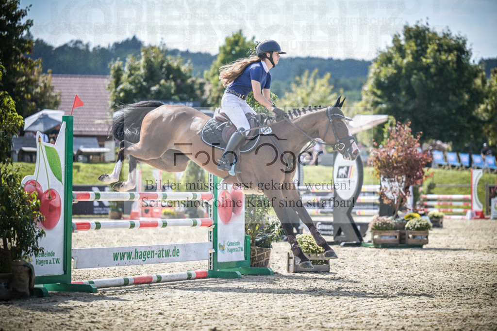 DOS_8030 | Entdecke hochwertige Reitturnierfotos von Foto Oger. Professionell, emotional und authentisch – jetzt Lieblingsmomente im Shop bestellen.Deutschlandweite Turnierfotografie. - Realisiert mit Pictrs.com