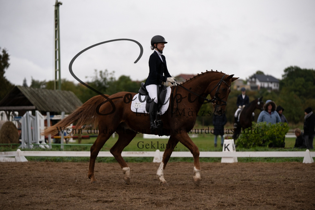 A7V05885 | Pferdefotograf