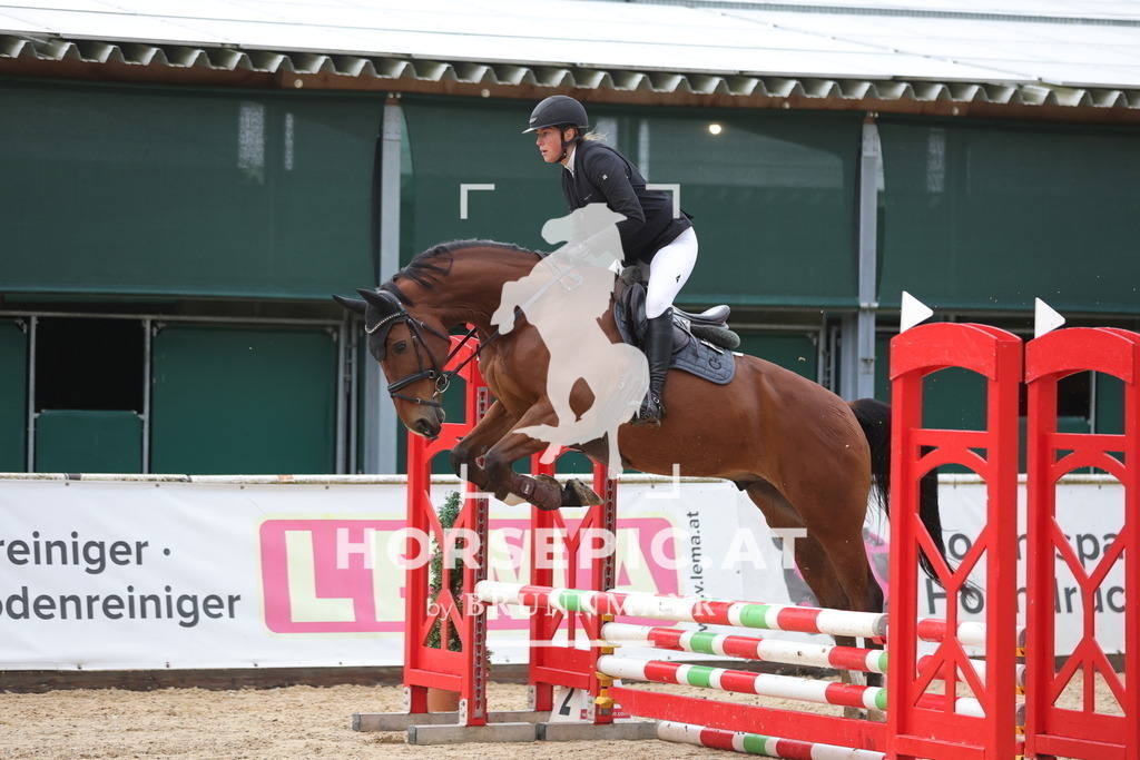 0P6A6789 | Willkommen bei Brunnmayr - Design & Fotografie – Ihrem Spezialisten für Reitturniere und Pferdeveranstaltungen in Oberösterreich, Salzburg und Bayern! Seit über 17 Jahren sind wir leidenschaftlich dabei.