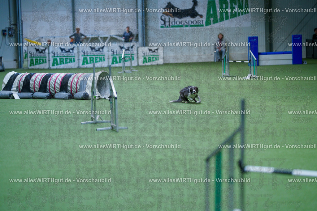 @allesWIRTHgut_Tierfotografie - www.allesWIRTHgut.de - 2604261227-7R500940 | Professionelle Tierfotografie in Mönchengladbach von Daniel Wirth (allesWIRTHgut). Liebevolle & natürliche Bilder von Hunden & Katzen für unvergessliche Erinnerungen.