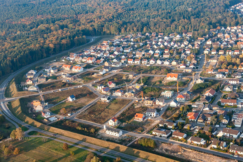 Luftbild: Forstlandallee in Jockgrim im Bundesland Rheinland-Pfalz in Deutschland. Foto: IMG_46130.jpg vom 23.10.2011 durch Werner Riehm/FLY-FOTO.de